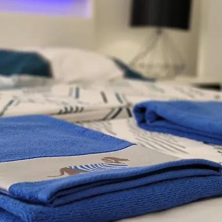 Le Lovelyhome Au Centre Avec Jacuzzi Et Sauna Proche Gare Et Parking Gratuit Appartement Colmar