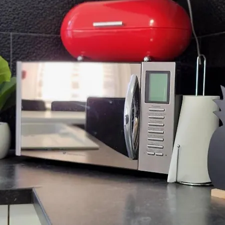 Le Lovelyhome Au Centre Avec Jacuzzi Et Sauna Proche Gare Et Parking Gratuit Colmar